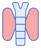 Icono cáncer de tiroides